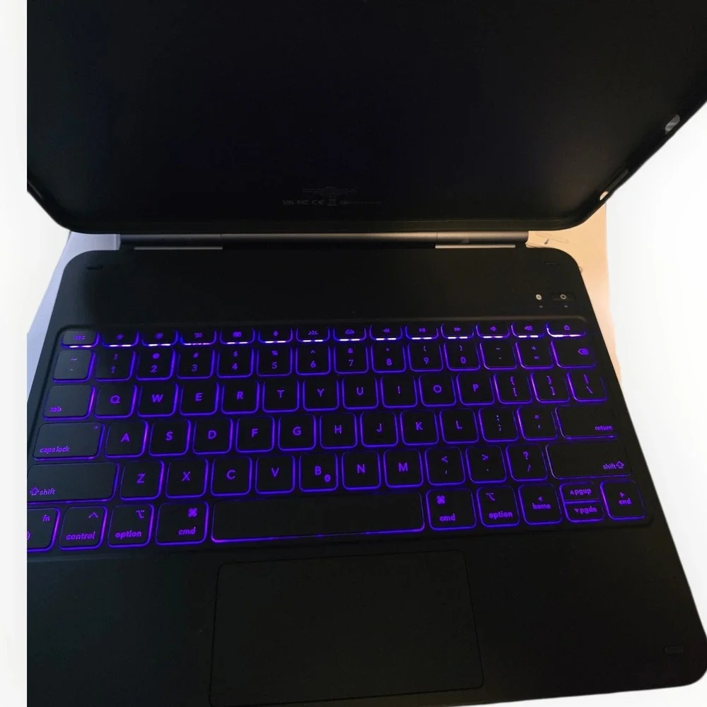 ESR iPad Pro 13
